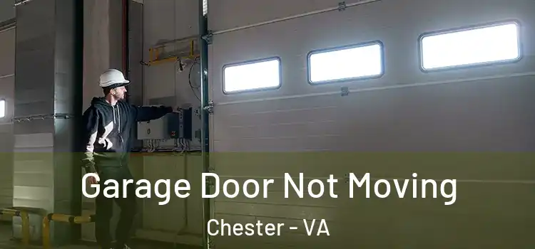  Garage Door Not Moving Chester - VA