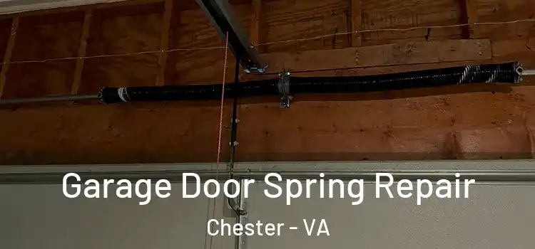  Garage Door Spring Repair Chester - VA