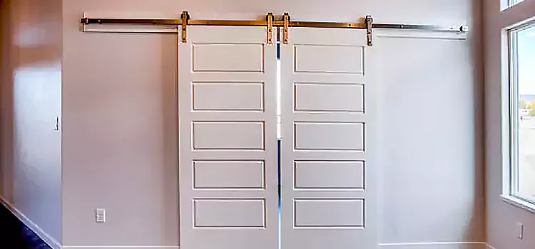 Glass Barn Door with Installation Hardware Kit Chester