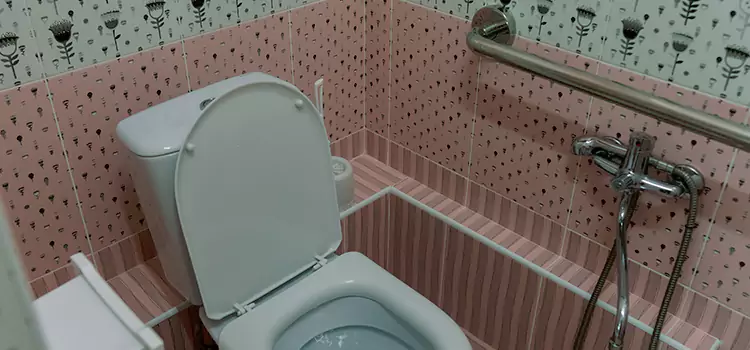 Meeting Diverse Needs With Accessible Restroom Solutions in Chester, VA